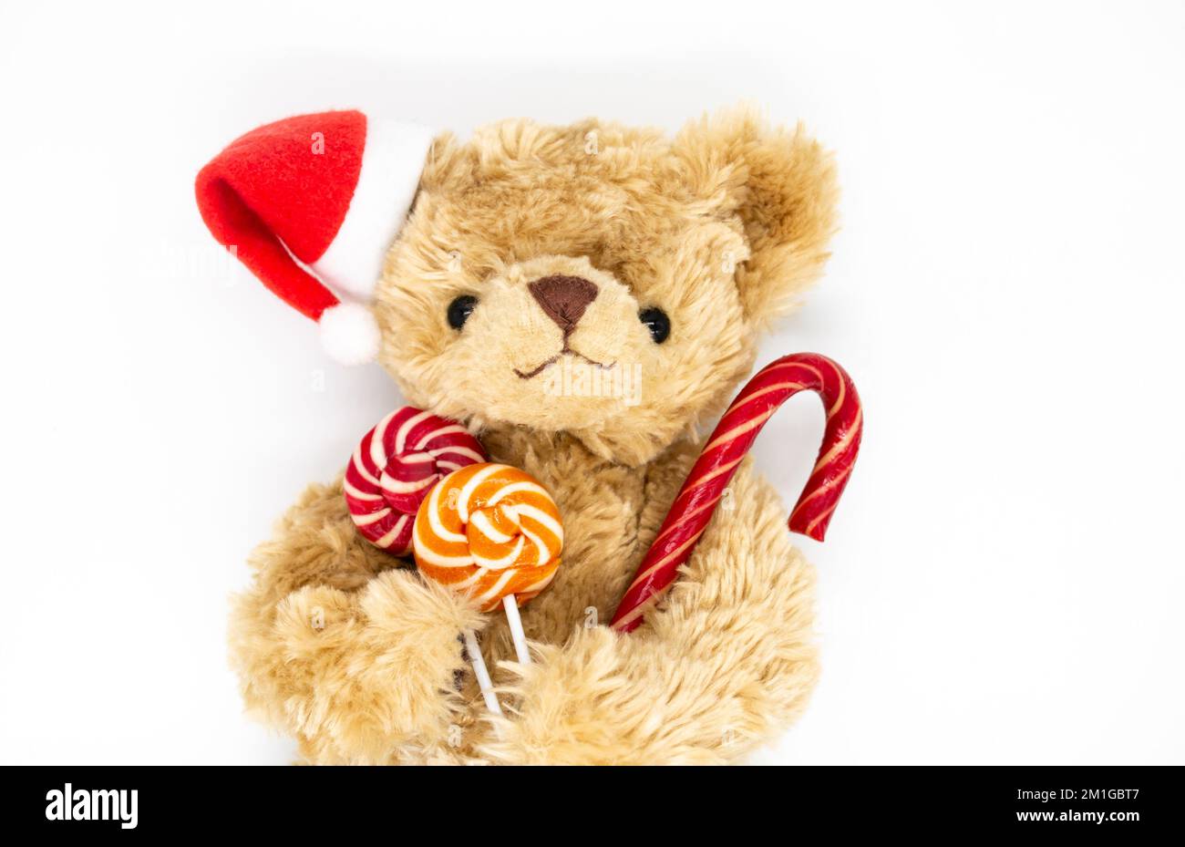 Un orsacchiotto peluche giocattolo in un cappello rosso di Babbo Natale su  un orecchio, che tiene la canna da caramelle e due lecca lollipop a strisce  nelle zampe. Sfondo bianco, spazio di