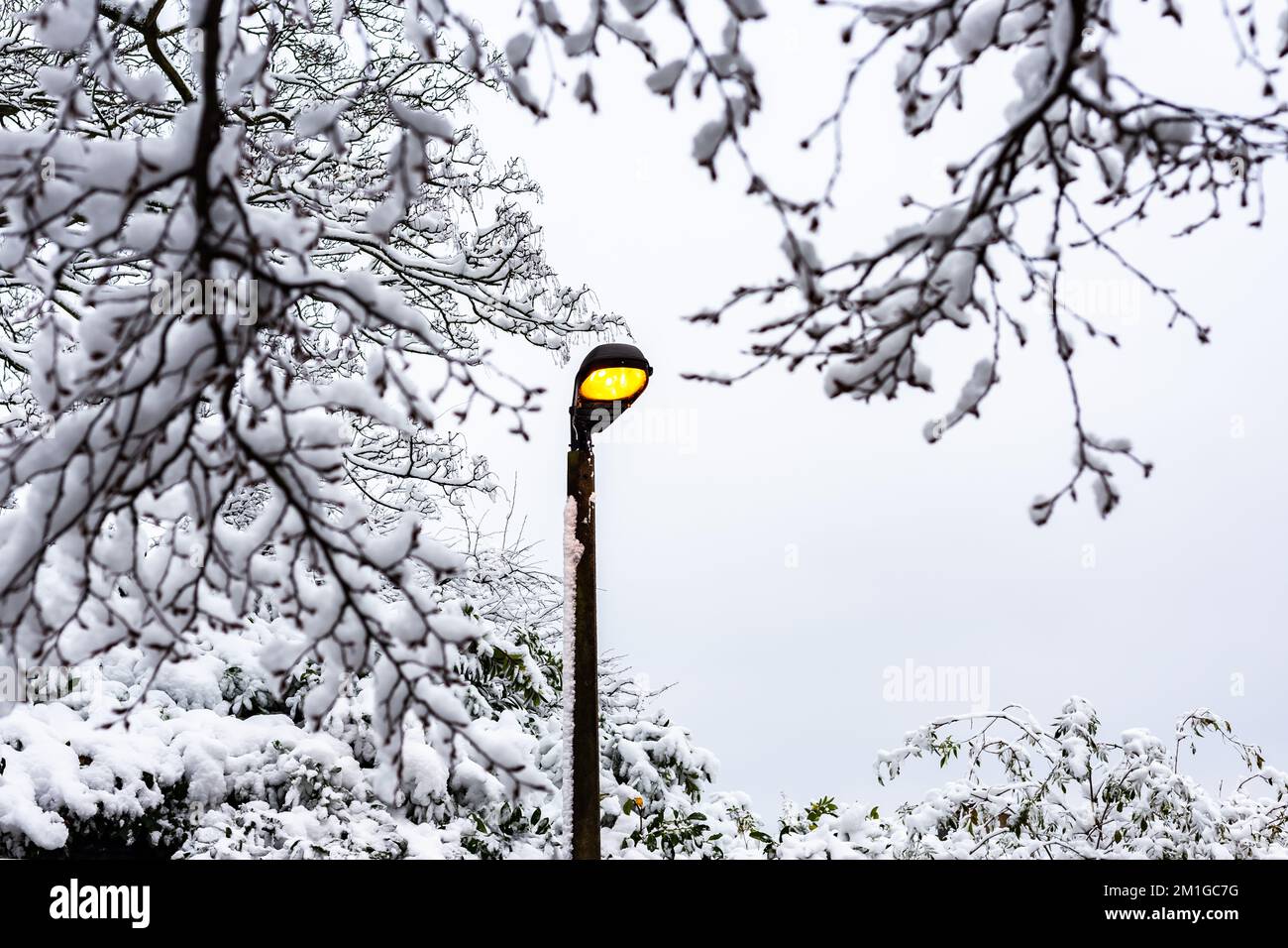 Una luce stradale coperta di neve e una lampada standard si illumina di giallo contro un grigio e miserabile inverno Sky.Trees laiden con la neve agiscono come una cornice per l'immagine Foto Stock