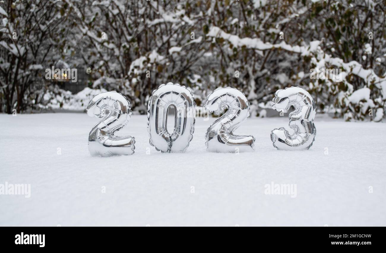 Numeri d'argento del nuovo anno 2023 in inverno nella neve sullo sfondo di alberi innevati e cespugli con spazio copia. Foto Stock