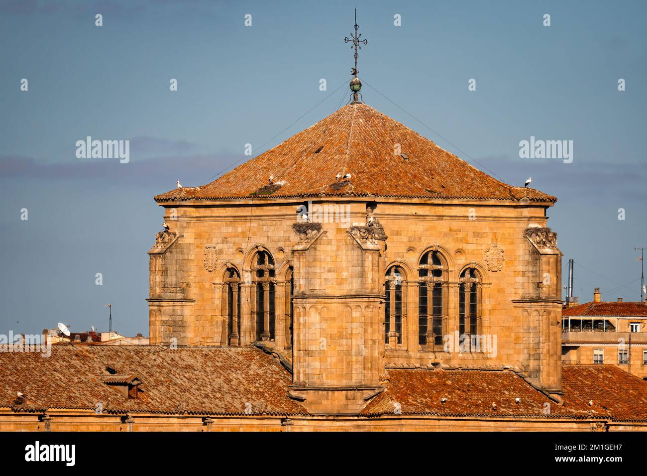 Paesaggio urbano della città vecchia di Salamanca. Castilla Leon, Spagna. Teleobiettivo Foto Stock