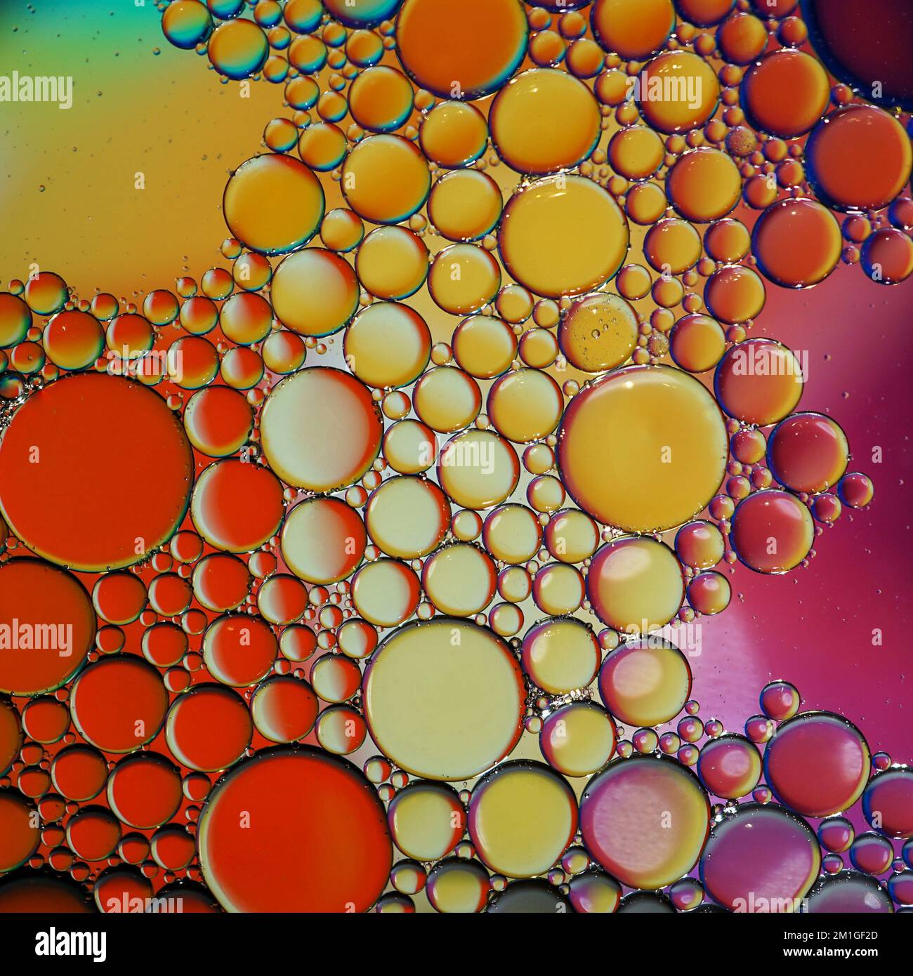 cerchi di olio multicolore sull'acqua, sfondo colorato Foto Stock