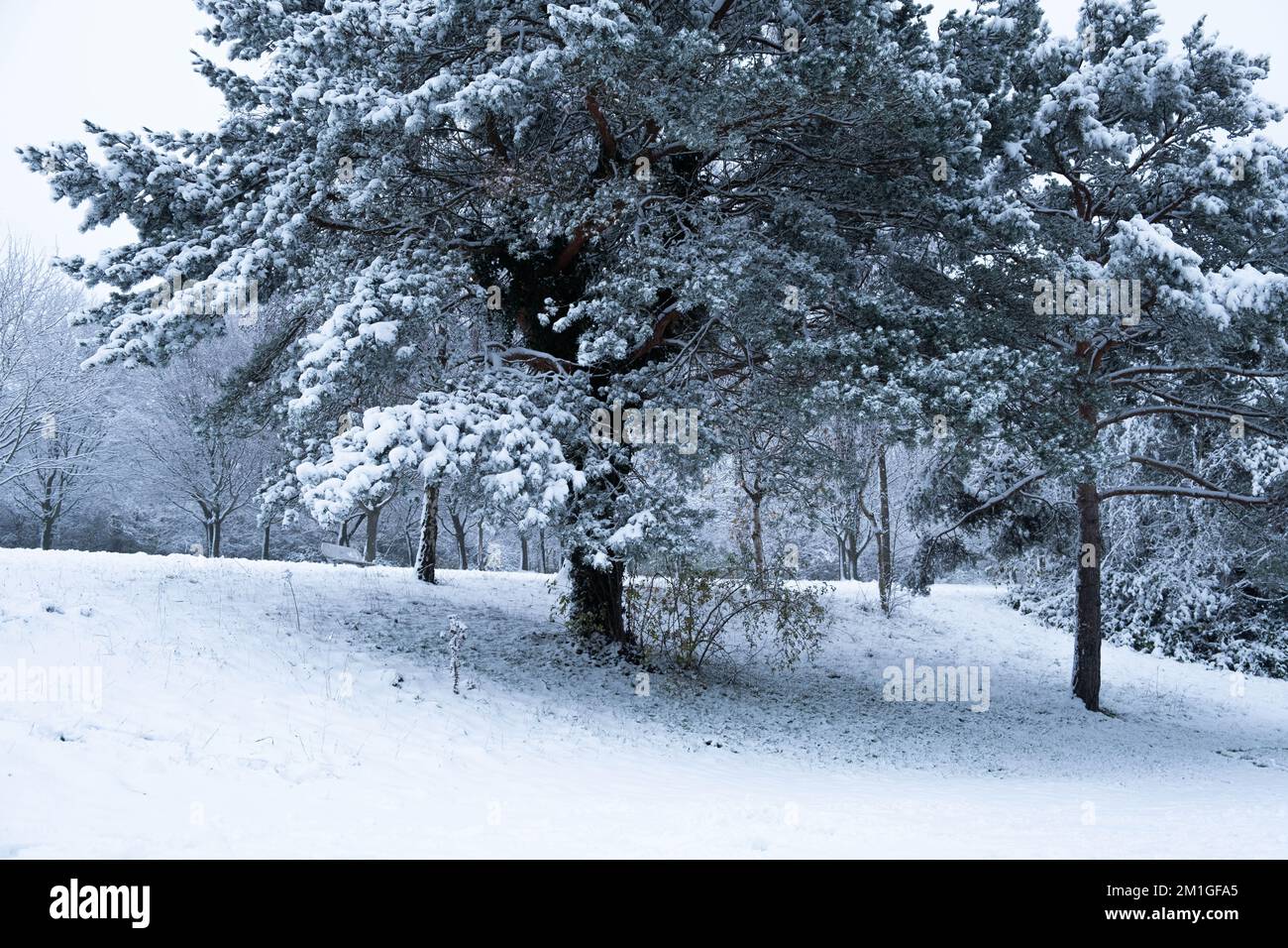 Le condizioni climatiche invernali nell'Hertfordshire nel Regno Unito nel 2022 sono diminuite più di dieci anni Foto Stock