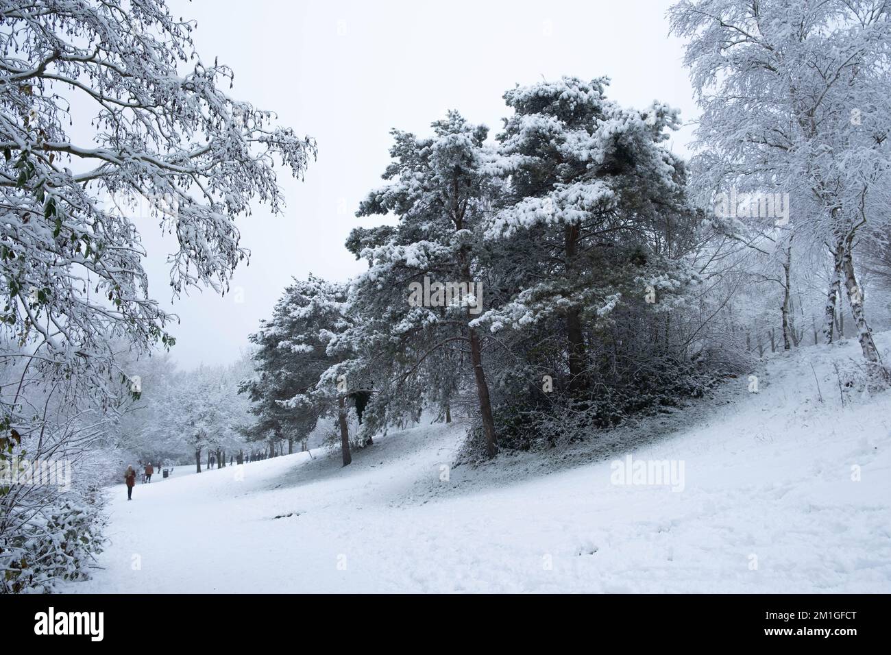 Le condizioni climatiche invernali nell'Hertfordshire nel Regno Unito nel 2022 sono diminuite più di dieci anni Foto Stock