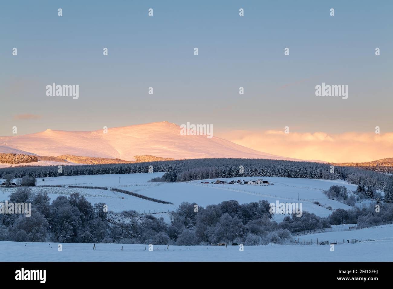 Speyside, Moray, Regno Unito. 12th Dec, 2022. Questa è la scena nel paese del whisky di Malt di Speyside che è stato completamente coperto di neve che ora si è congelata. Questo è il punto più alto di Speyside, ben Rinnes. Credit: JASPERIMAGE/Alamy Live News Foto Stock