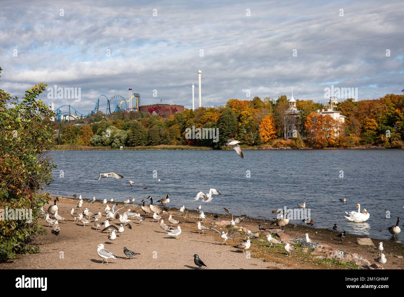 Baia di Töölölahti in autunno Foto Stock