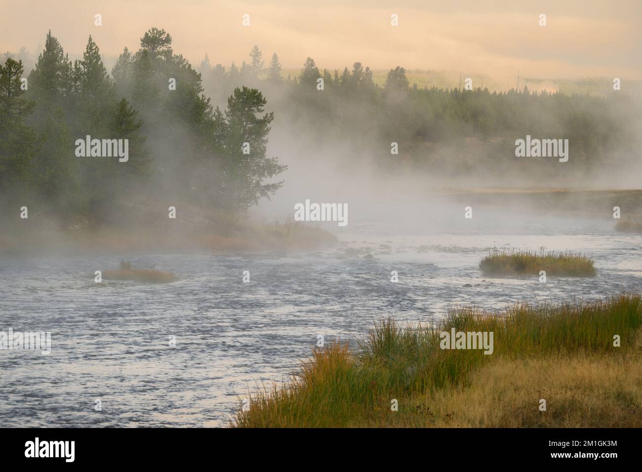 Fiume steamy al bacino di Midway Geyser del parco nazionale di Yellowstone, Wyoming Foto Stock