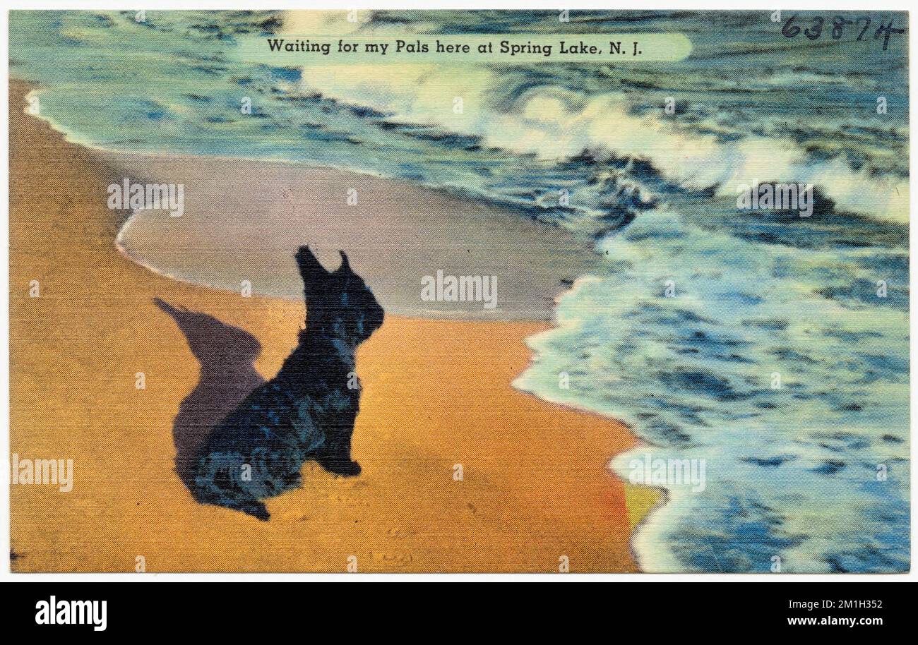 In attesa dei miei amici qui a Spring Lake, N. J., spiagge, Tichnor Brothers Collection, cartoline degli Stati Uniti Foto Stock