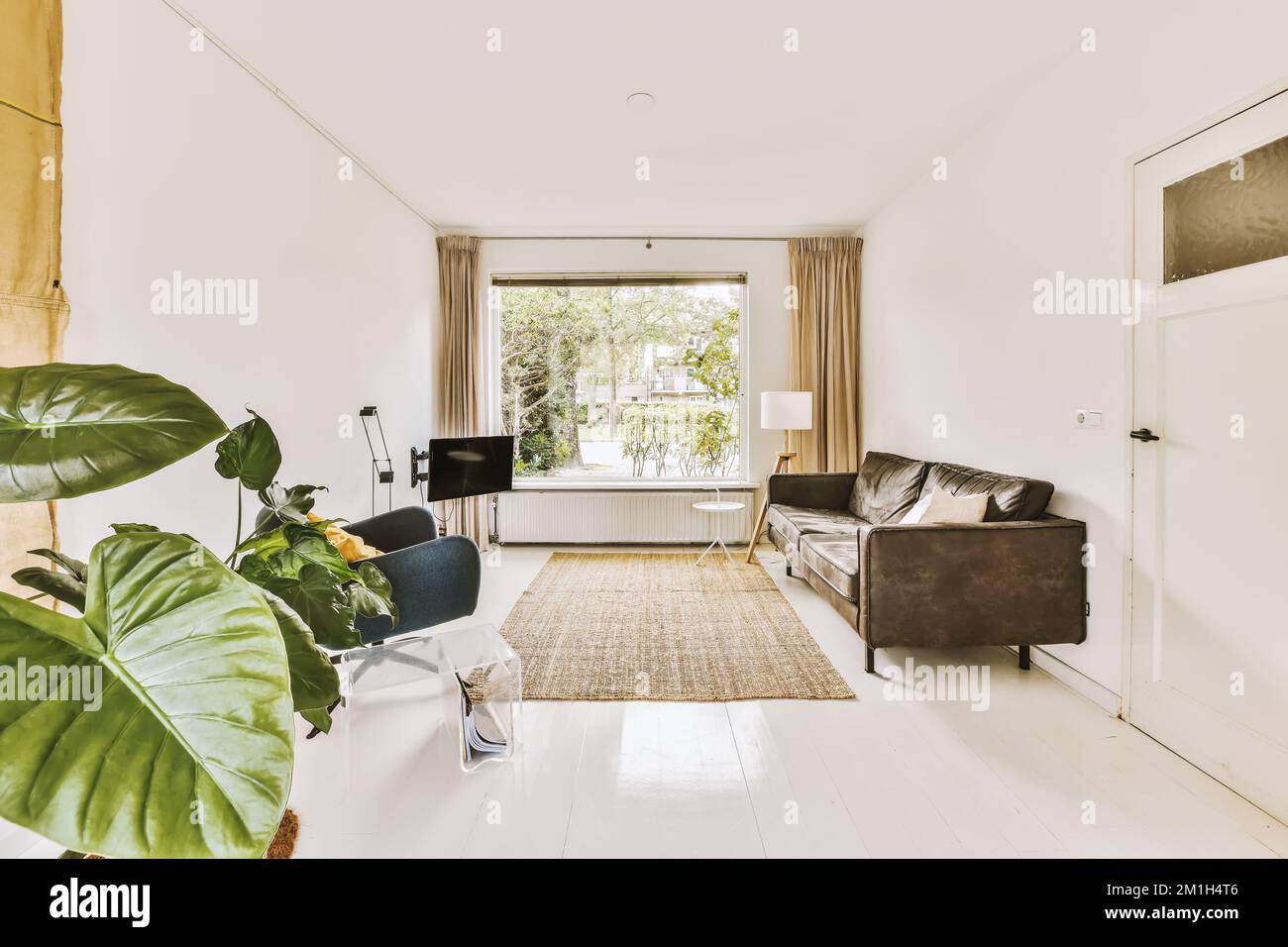 un soggiorno con pavimento bianco e grande pianta verde al centro della stanza è un divano in pelle nera Foto Stock