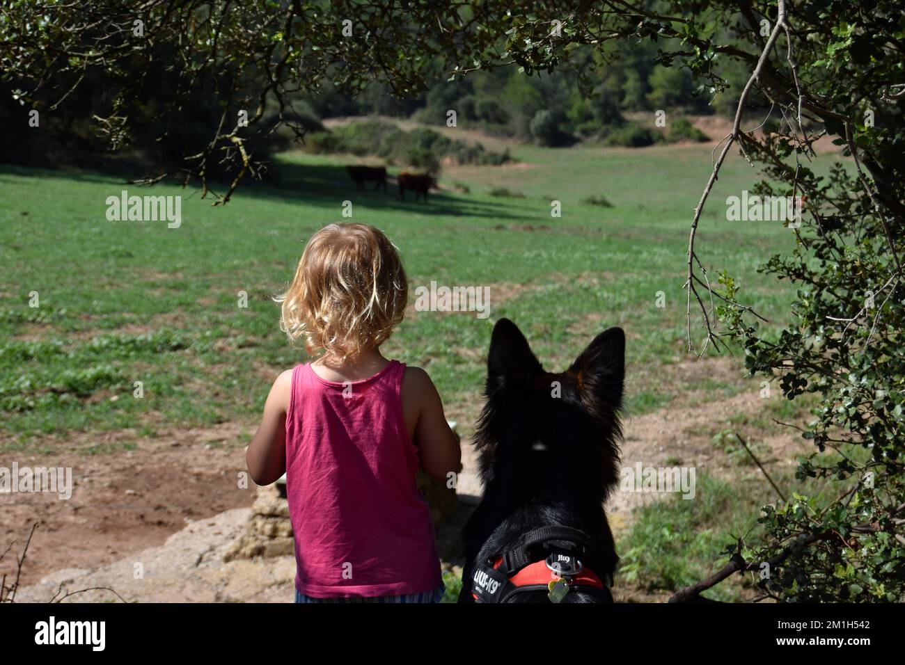 Migliori amici per sempre Foto Stock