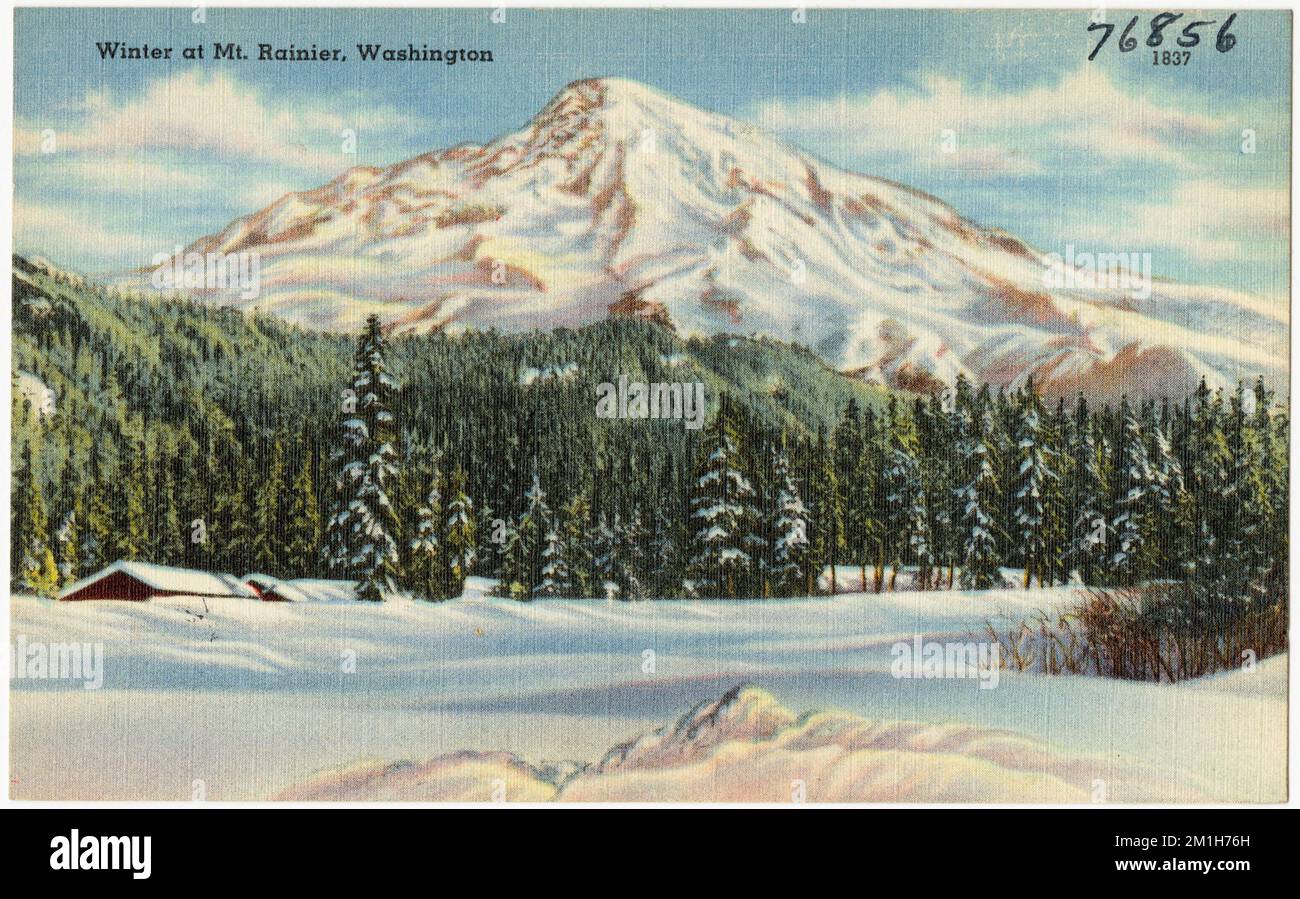 Inverno al Monte Rainier, Washington , Montagne, Tichnor Brothers Collection, cartoline degli Stati Uniti Foto Stock