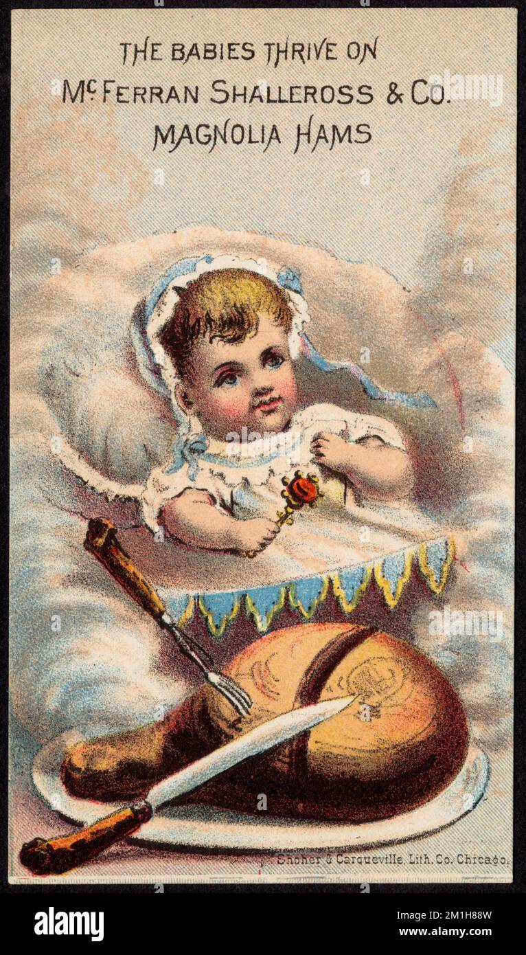 I bambini prosperano su McFerran Shallcross & Co. Magnolia prosciutti, lattanti, carne, posate, 19th ° secolo American Trade Cards Foto Stock