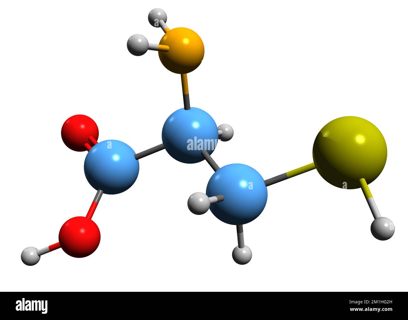 3D immagine della formula scheletrica della cisteina - struttura chimica molecolare dell'amminoacido proteinogeno isolato su sfondo bianco Foto Stock