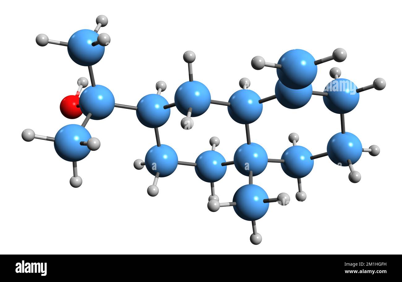 3D immagine della formula scheletrica beta-Eudesmol - struttura chimica molecolare del sesquiterpenoide isolato su sfondo bianco Foto Stock