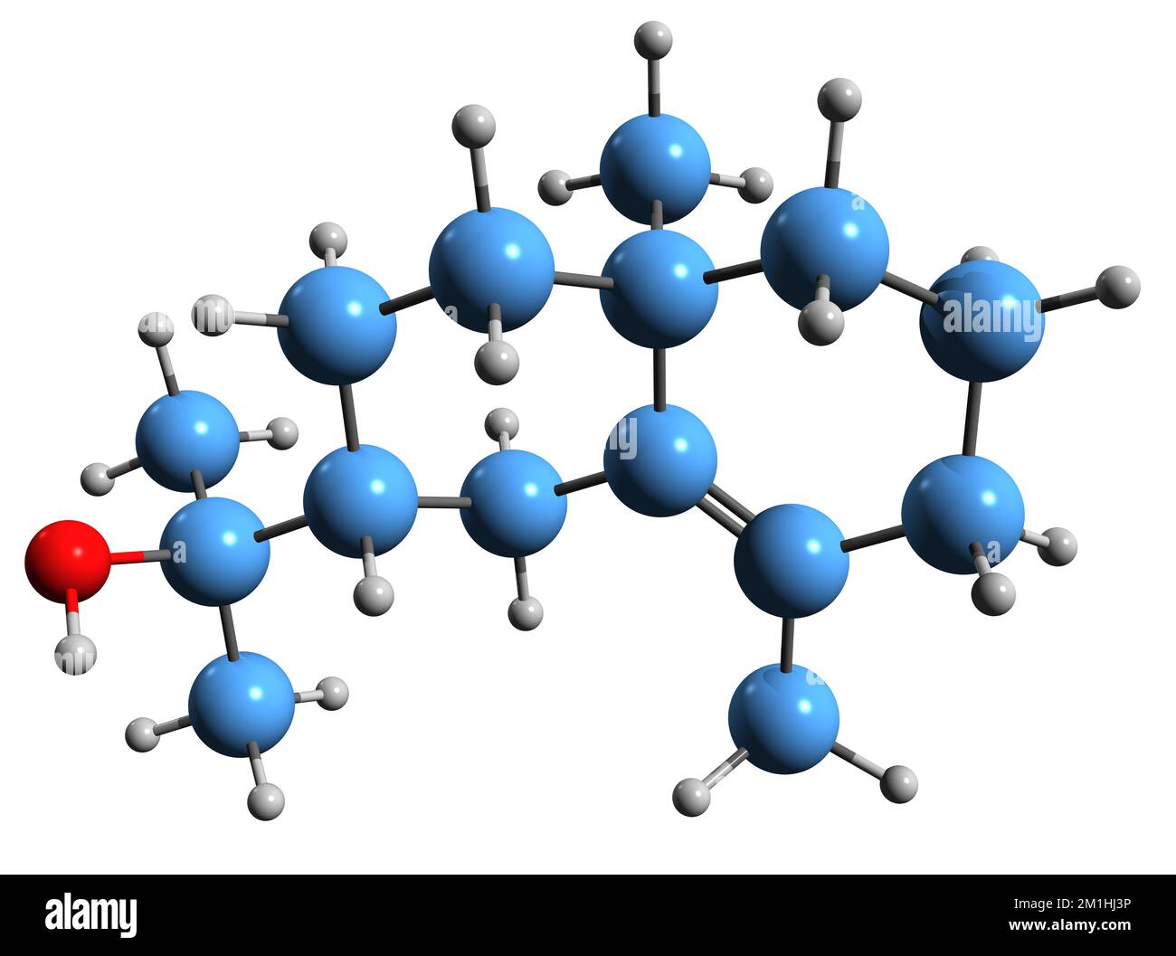 3D immagine della formula scheletrica di eudesmon - struttura chimica molecolare di fitochimica isolata su sfondo bianco Foto Stock