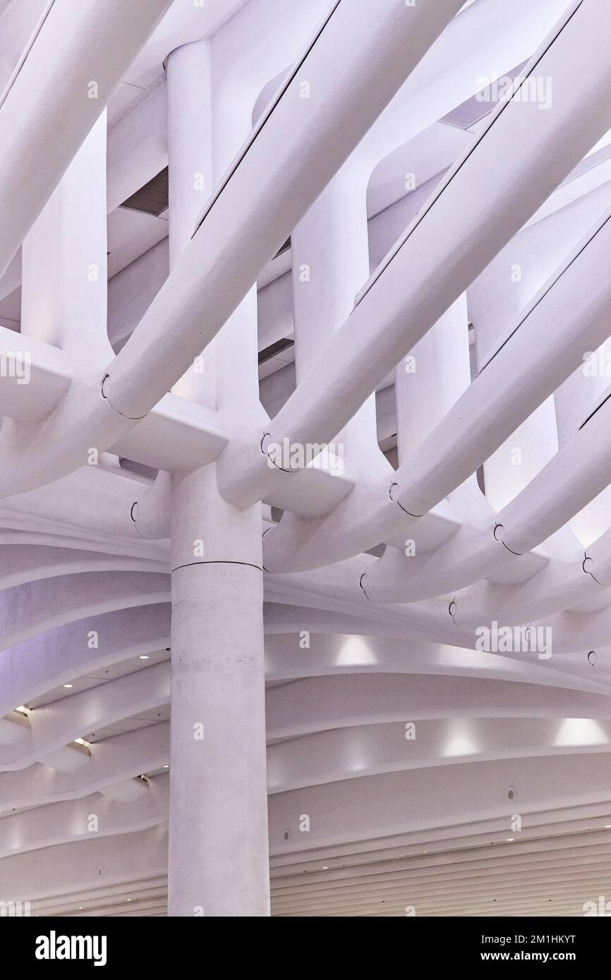 Particolare dell'architettura bianca astratta della nervatura nella stazione ferroviaria di New York City Foto Stock