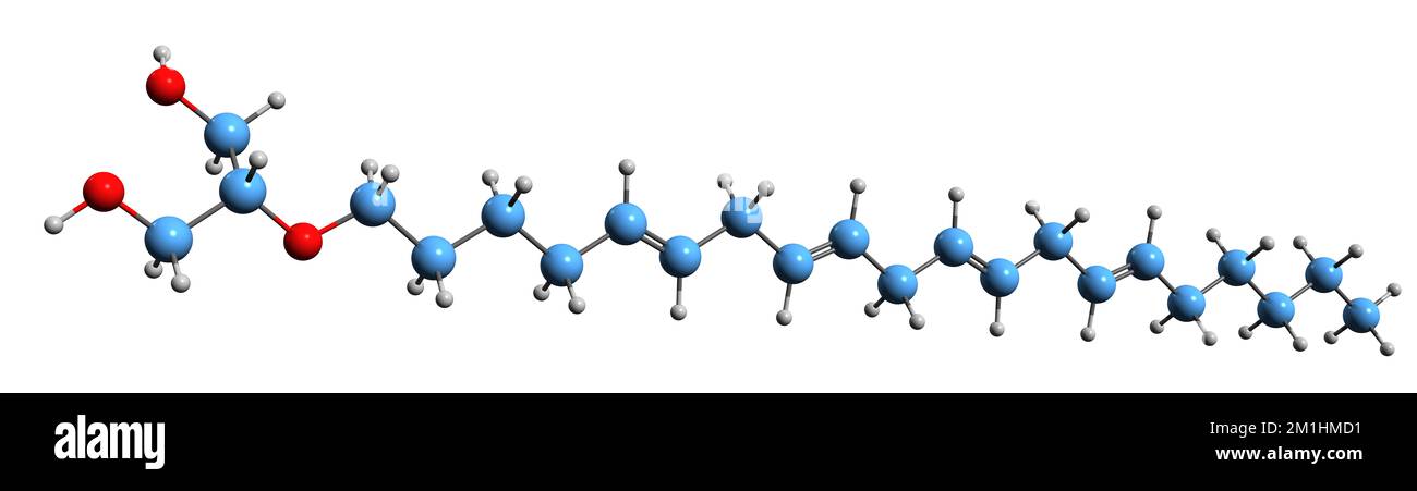 3D immagine della formula scheletrica dell'etere della noladina - struttura chimica molecolare dell'etere 2-arachidonil glicerilico dell'endocannabinoide isolato su backgroun bianco Foto Stock