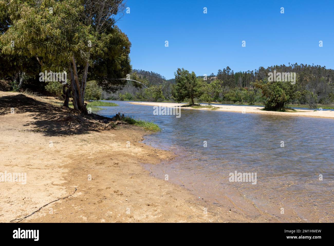 Laguna Cáhuil (Pichilemu) - Cile Foto Stock