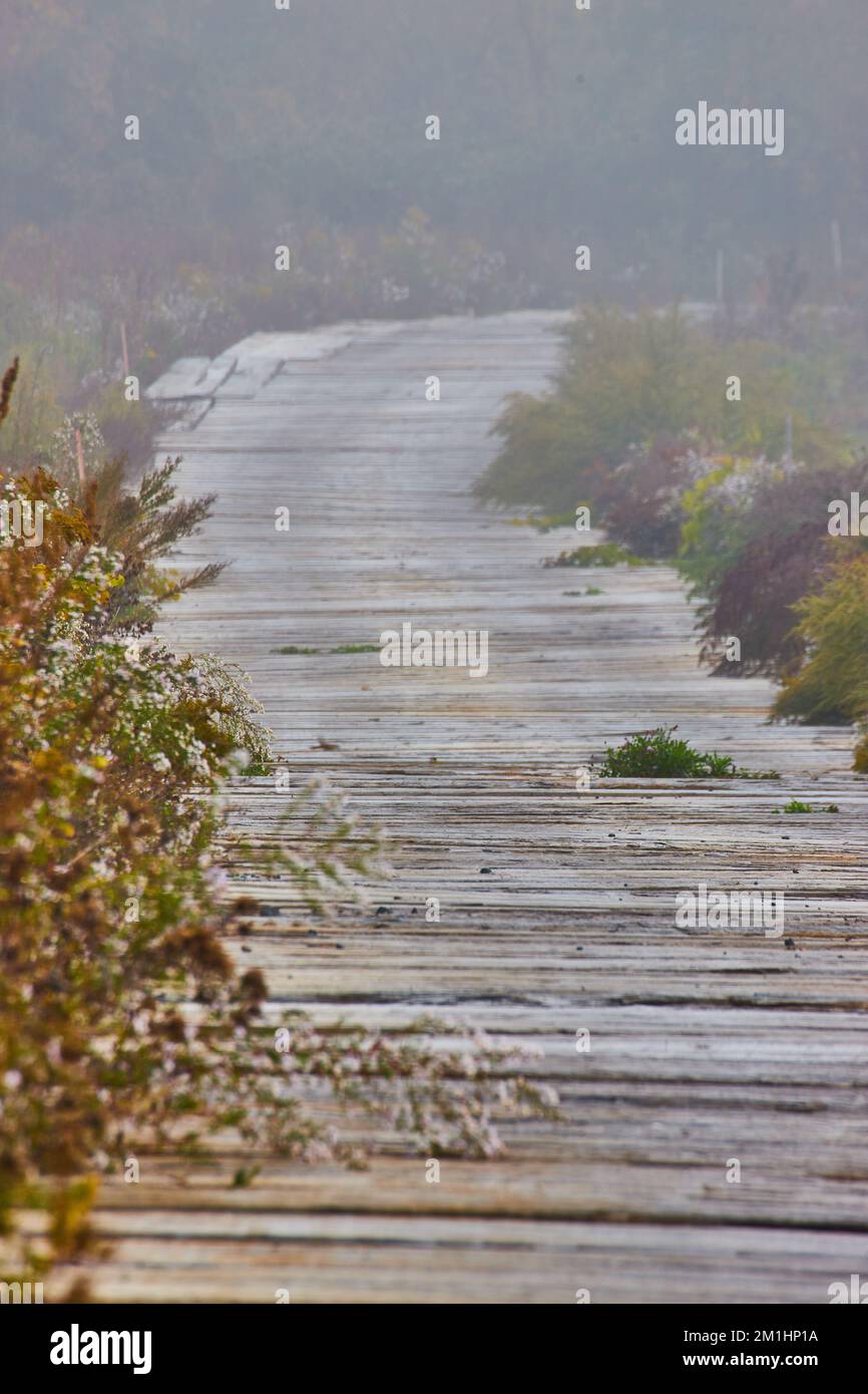 Legno tavola strada attraverso i campi in dettaglio su mattina nebbia Foto Stock