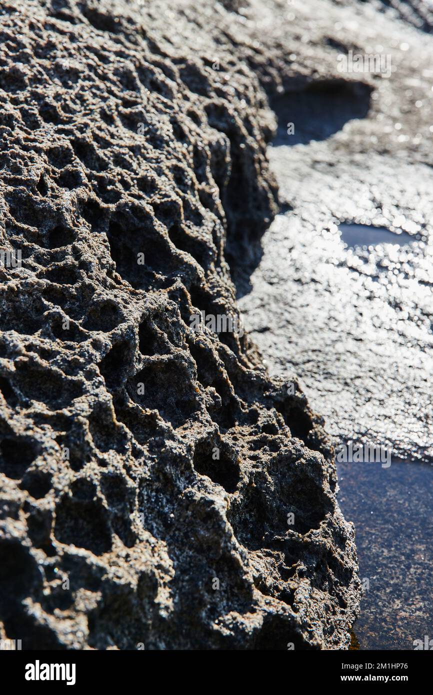 Particolare di rocce porose del Maine Foto Stock