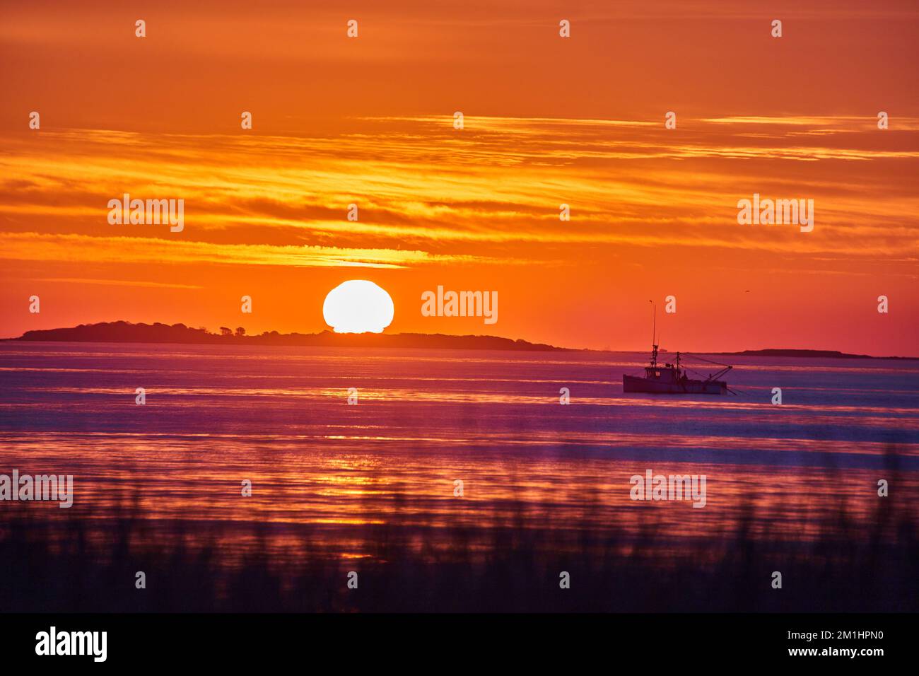 Alba con luce dorata sulla costa orientale dell'oceano con la costa erbosa in primo piano e la nave da pesca in lontananza Foto Stock