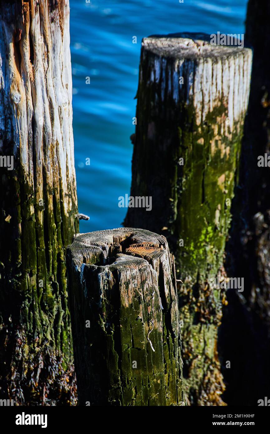 Particolare di vecchie pile vuote per banchina con muschio verde Foto Stock