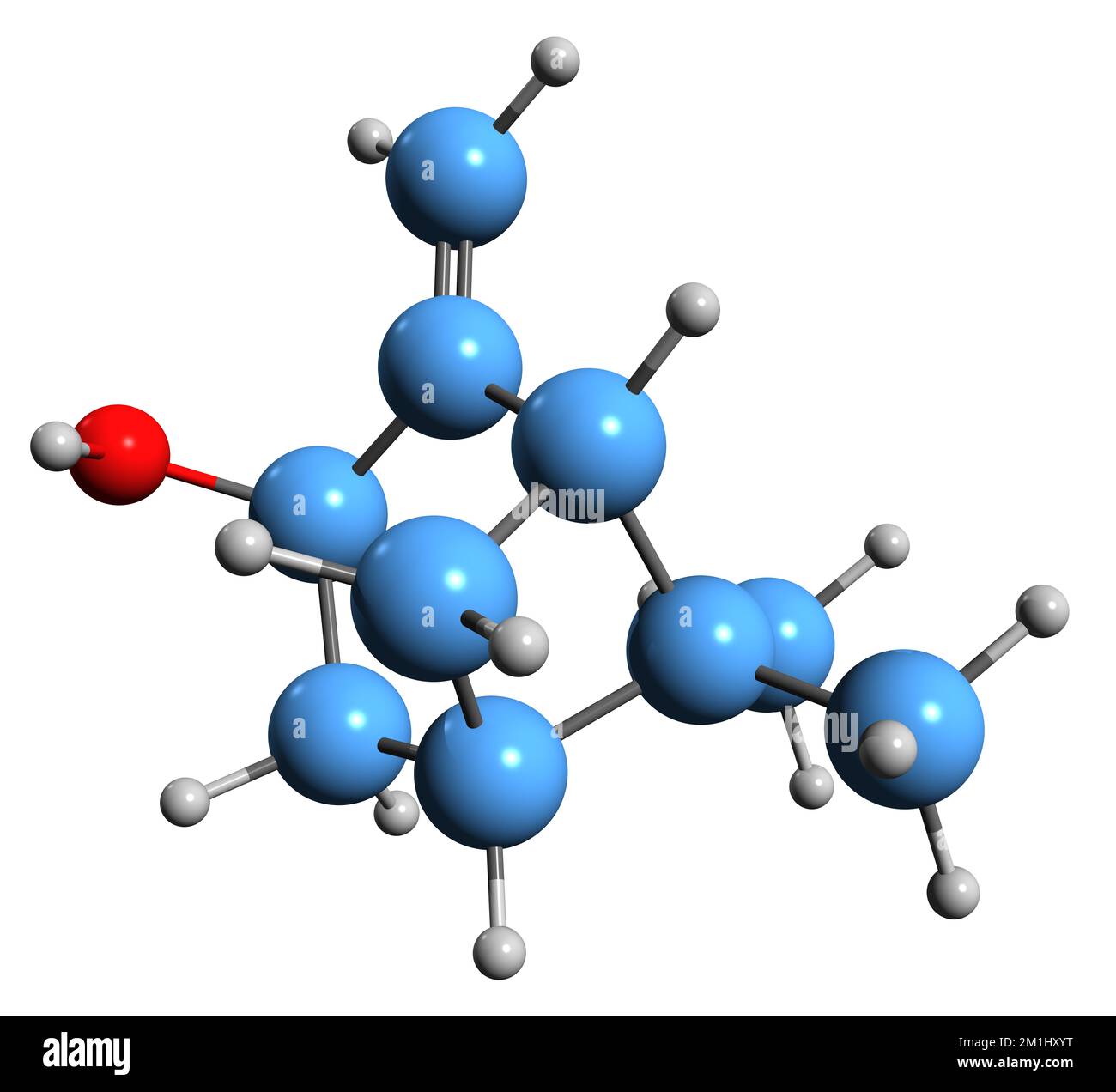 3D immagine di Pinocarveolo formula scheletrica - struttura chimica molecolare di Isopinocarveolo isolato su sfondo bianco Foto Stock