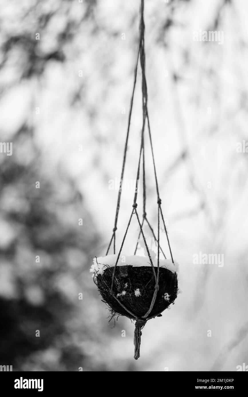 Ciminieri fatti in casa, appesi in un albero, coperto di neve in inverno Foto Stock