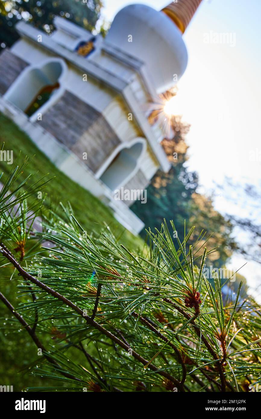 Rugiada su aghi di pino con sfocato Chorten tibetano Mongolia santuario buddista sullo sfondo Foto Stock