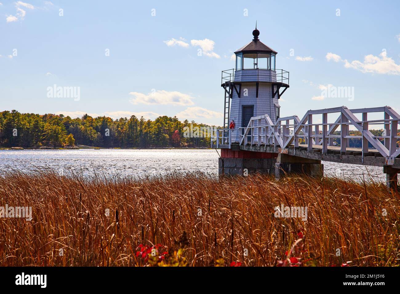 I campi rossi circondano il faro bianco nel Maine lungo il fiume Foto Stock