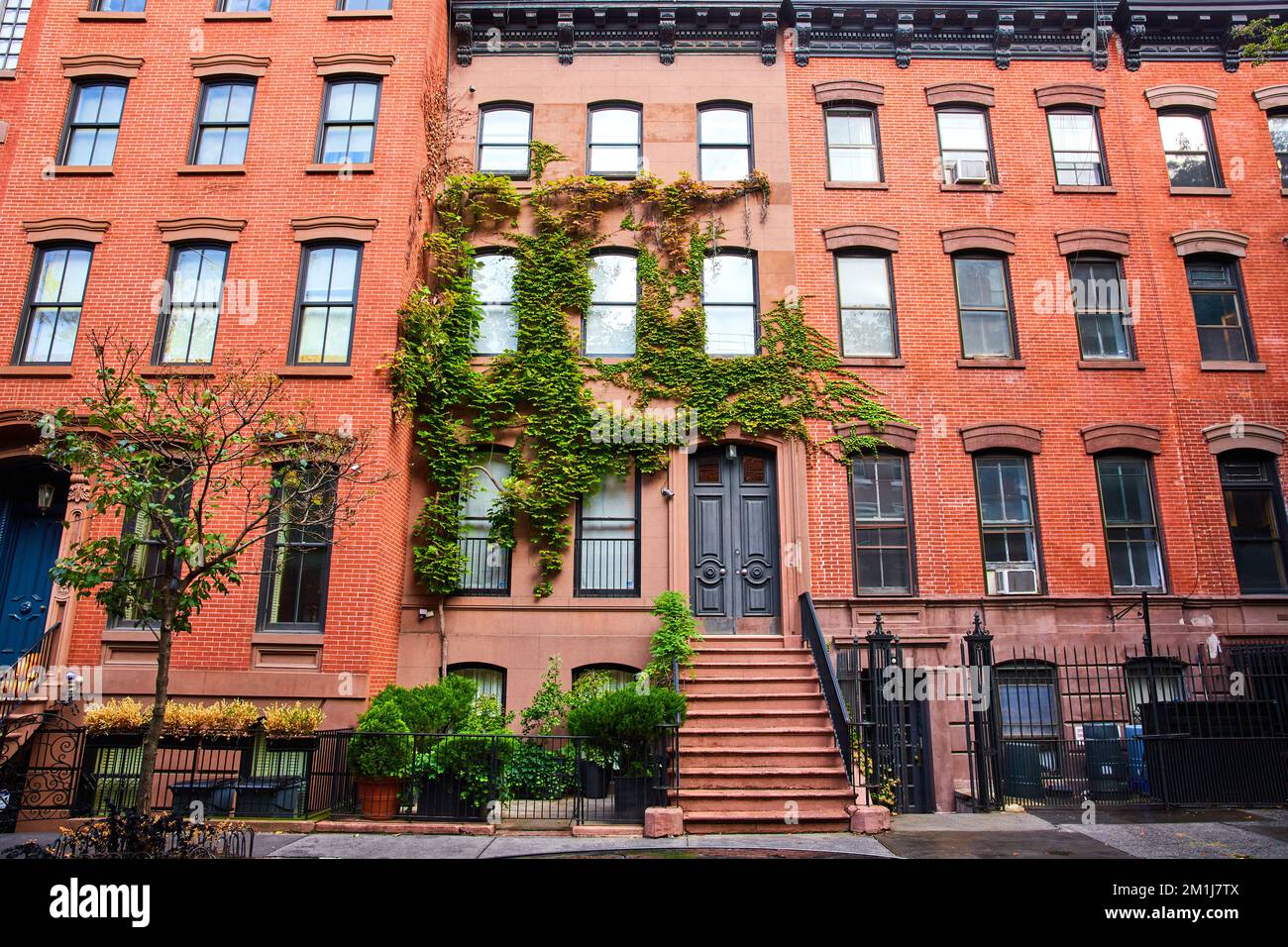 Bella verde vigne su edificio di appartamenti in mattoni a Greenwich Village New York City Foto Stock