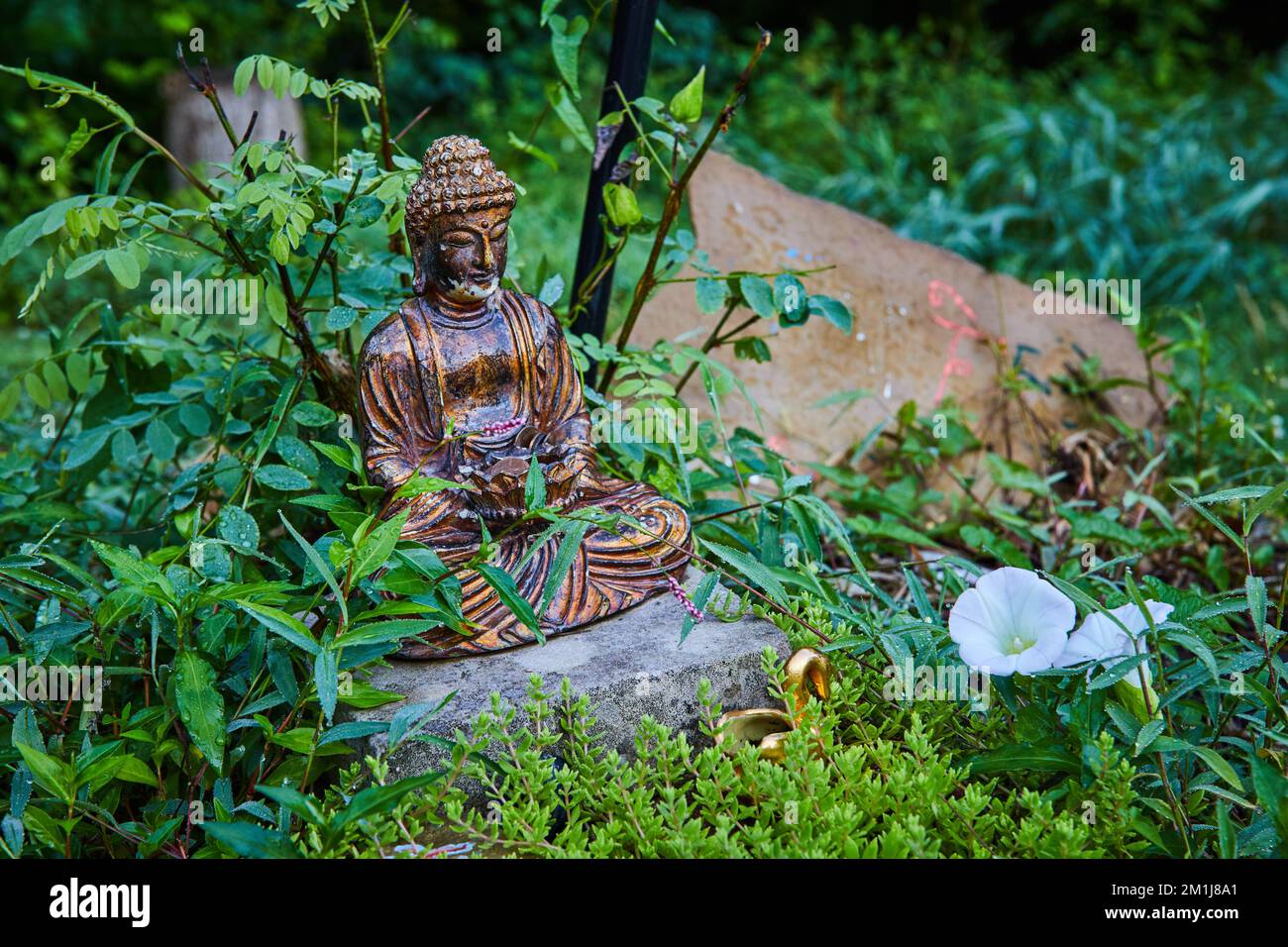 Giardini del tempio con piccola statua di Buddha Foto Stock