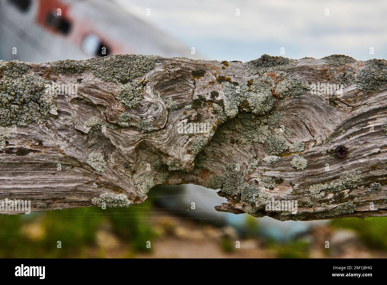 Particolare di vecchio palo di recinzione di legno che si deteriora con l'aeroplano schiantato molle dietro Foto Stock