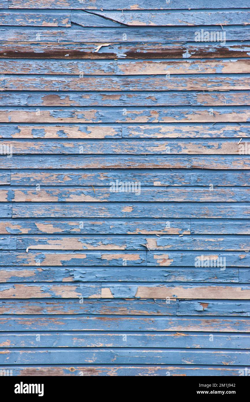 Old barnwood diritto su texture verticale con peeling vernice blu Foto Stock