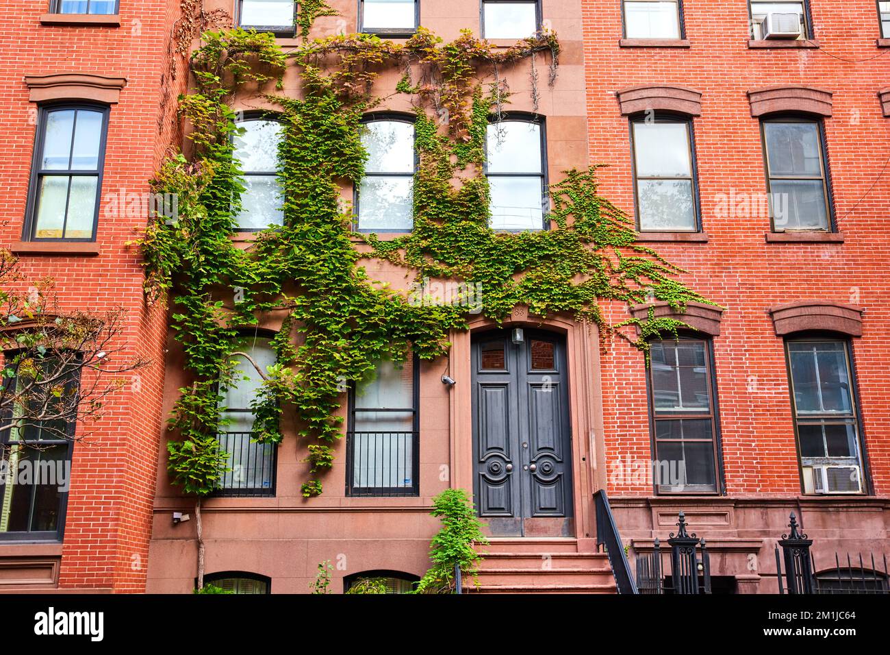 Splendida entrata frontale di un edificio di appartamenti in mattoni coperto da viti verdi nel Greenwich Village di New York City Foto Stock