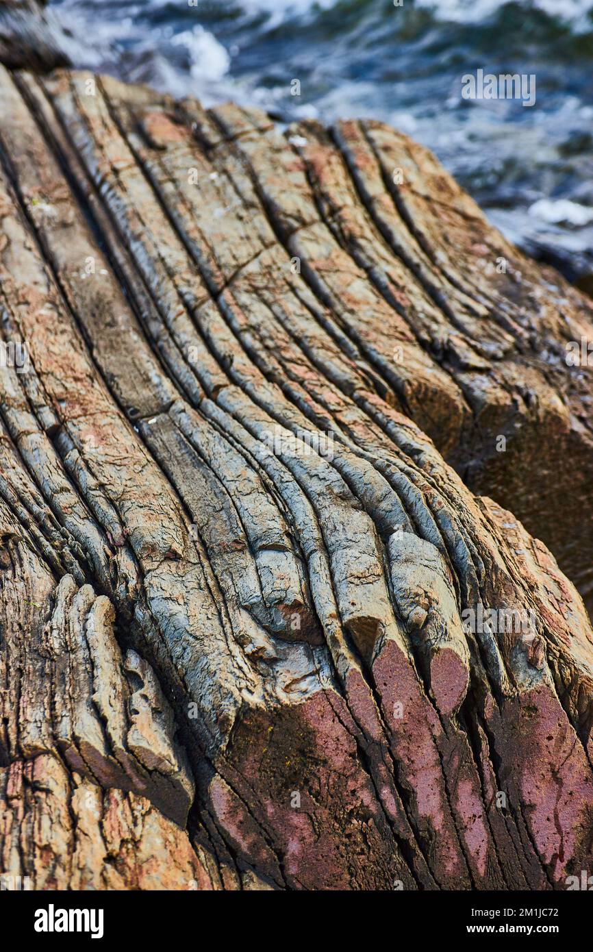 Particolare di legno pietrificato che guarda costa rocciosa nel Maine con le onde sullo sfondo Foto Stock