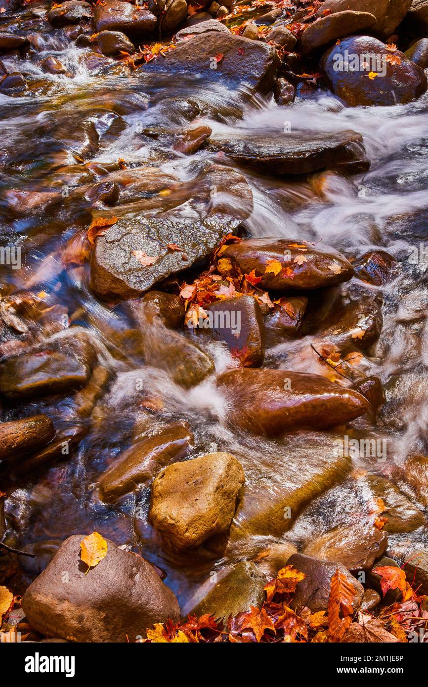 Guardando verso il basso su un torrente poco profondo di rocce lisce con piccoli fiumi in movimento sfocato Foto Stock