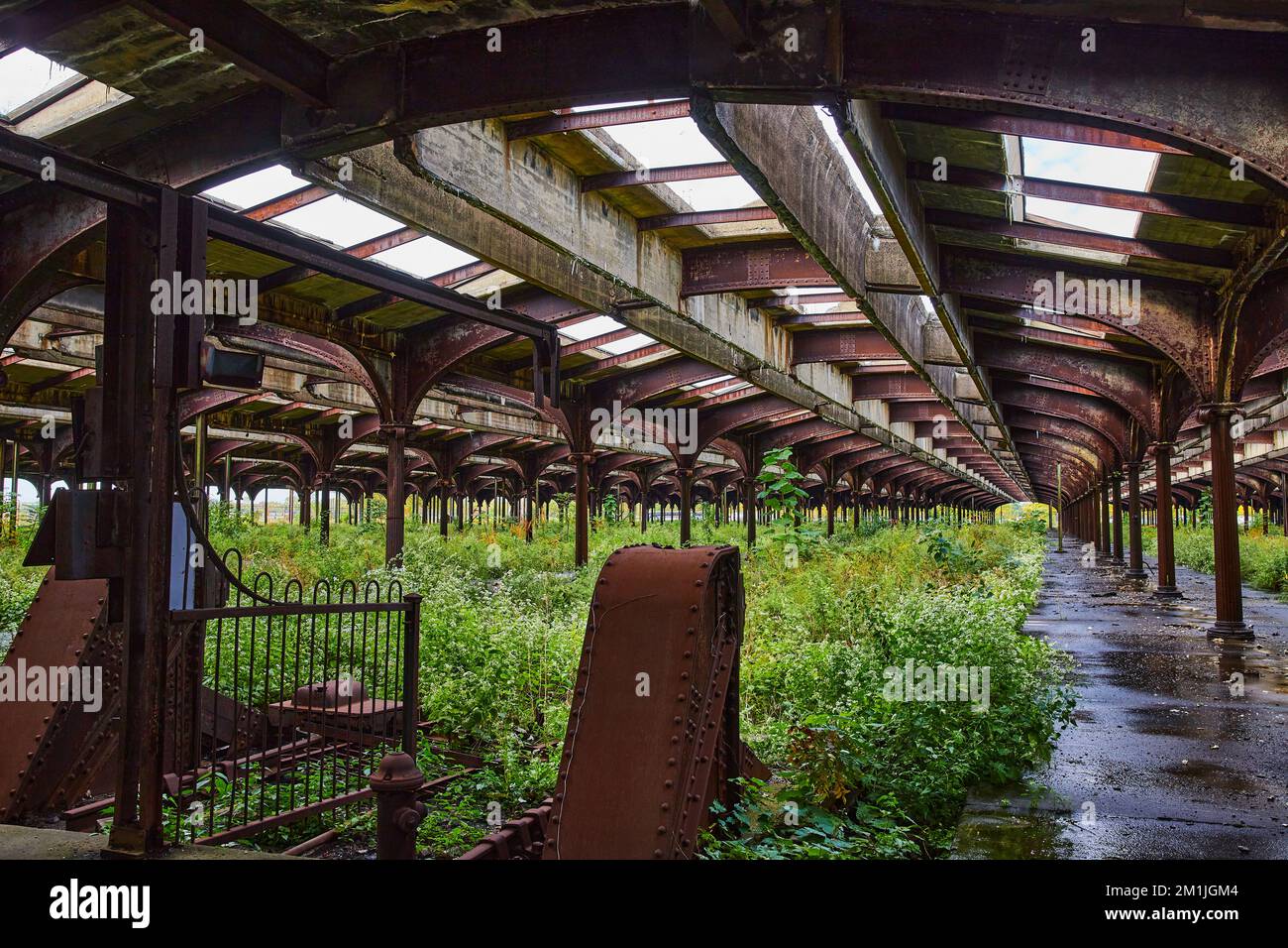 Tranquilla stazione ferroviaria decaduta e abbandonata con cancelli arrugginiti e sovrastanti binari Foto Stock