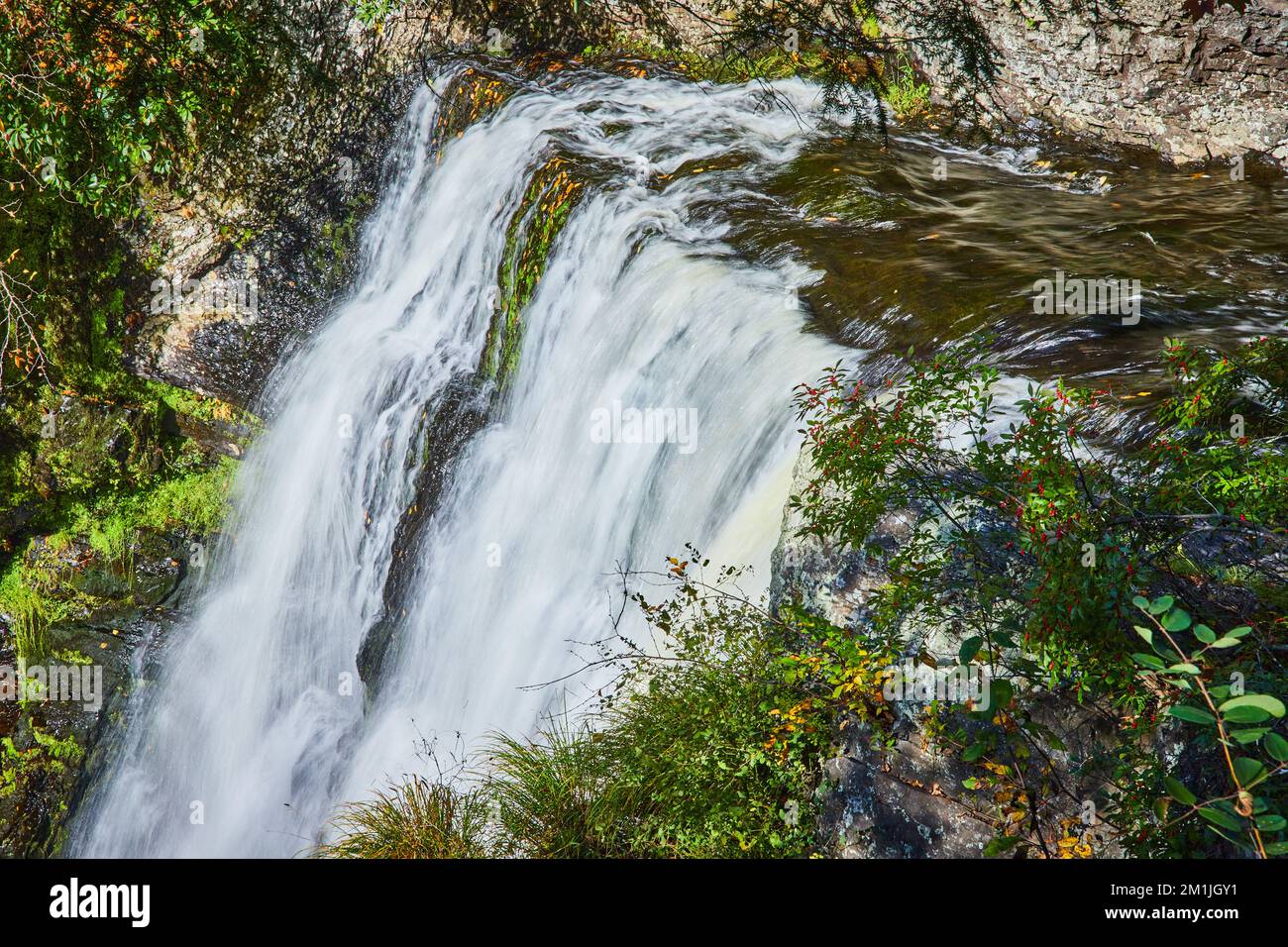 Vista appannata attraverso gli alberi del bordo della cascata Foto Stock