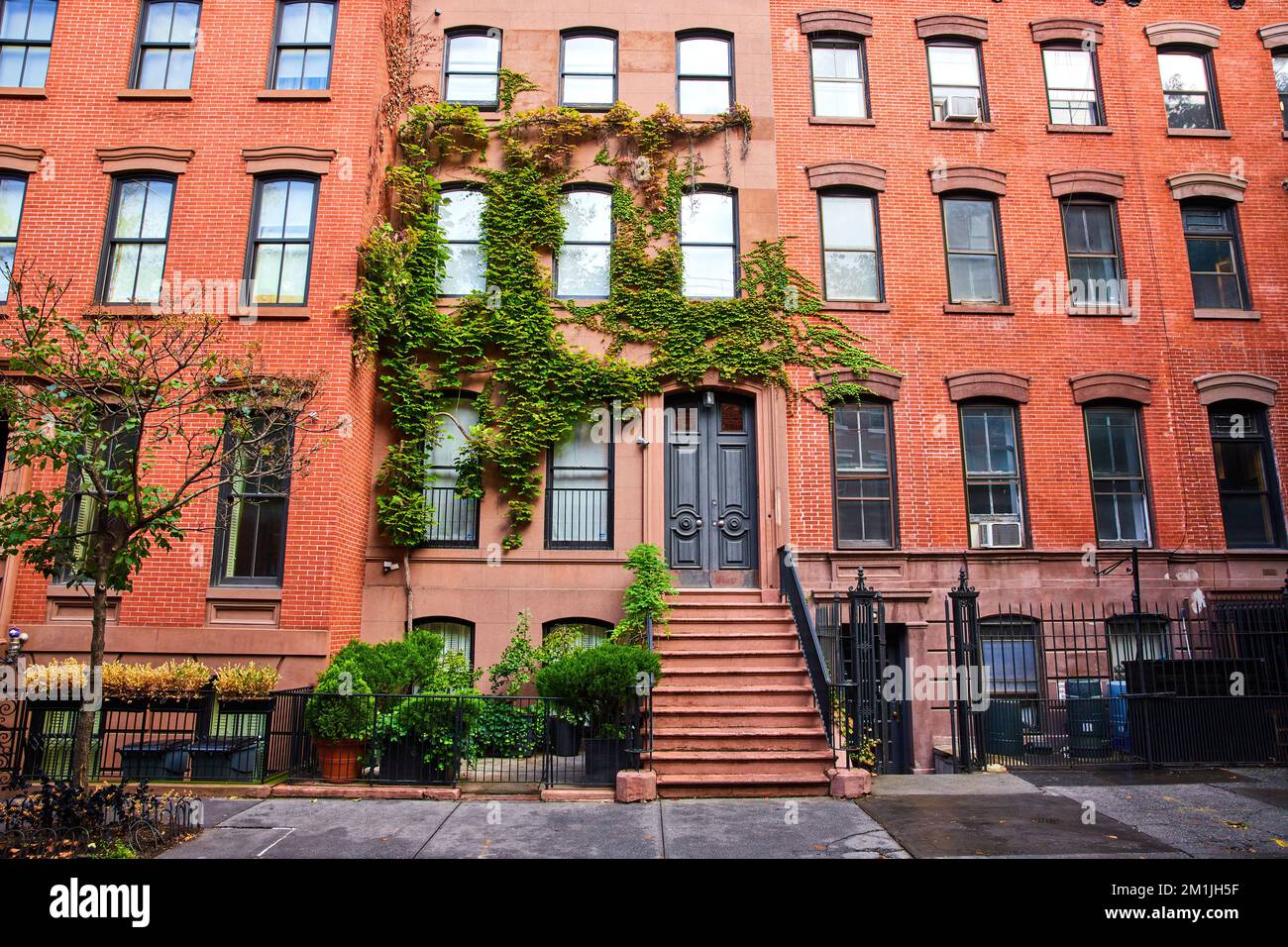 Vista fuori bellissimo edificio di appartamenti con mattoni rossi e viti verdi a Greenwich Village New York City Foto Stock