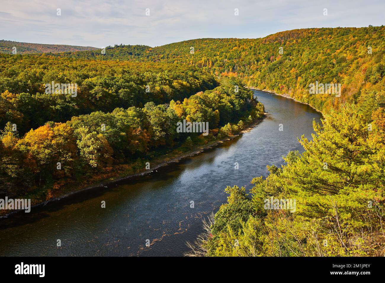 Delaware fiume in autunno con segni di alberi gialli Foto Stock