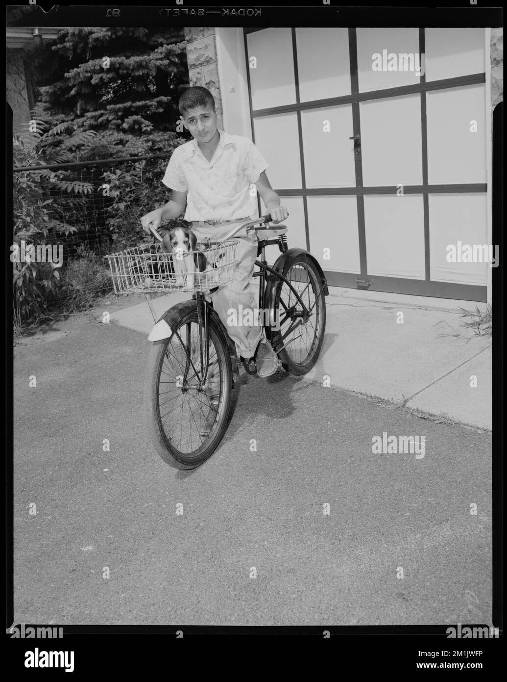 Albert Arzouhaljian, cucciolo, biciclette e tricicli, cani. Collezione Leon Abdalian Foto Stock