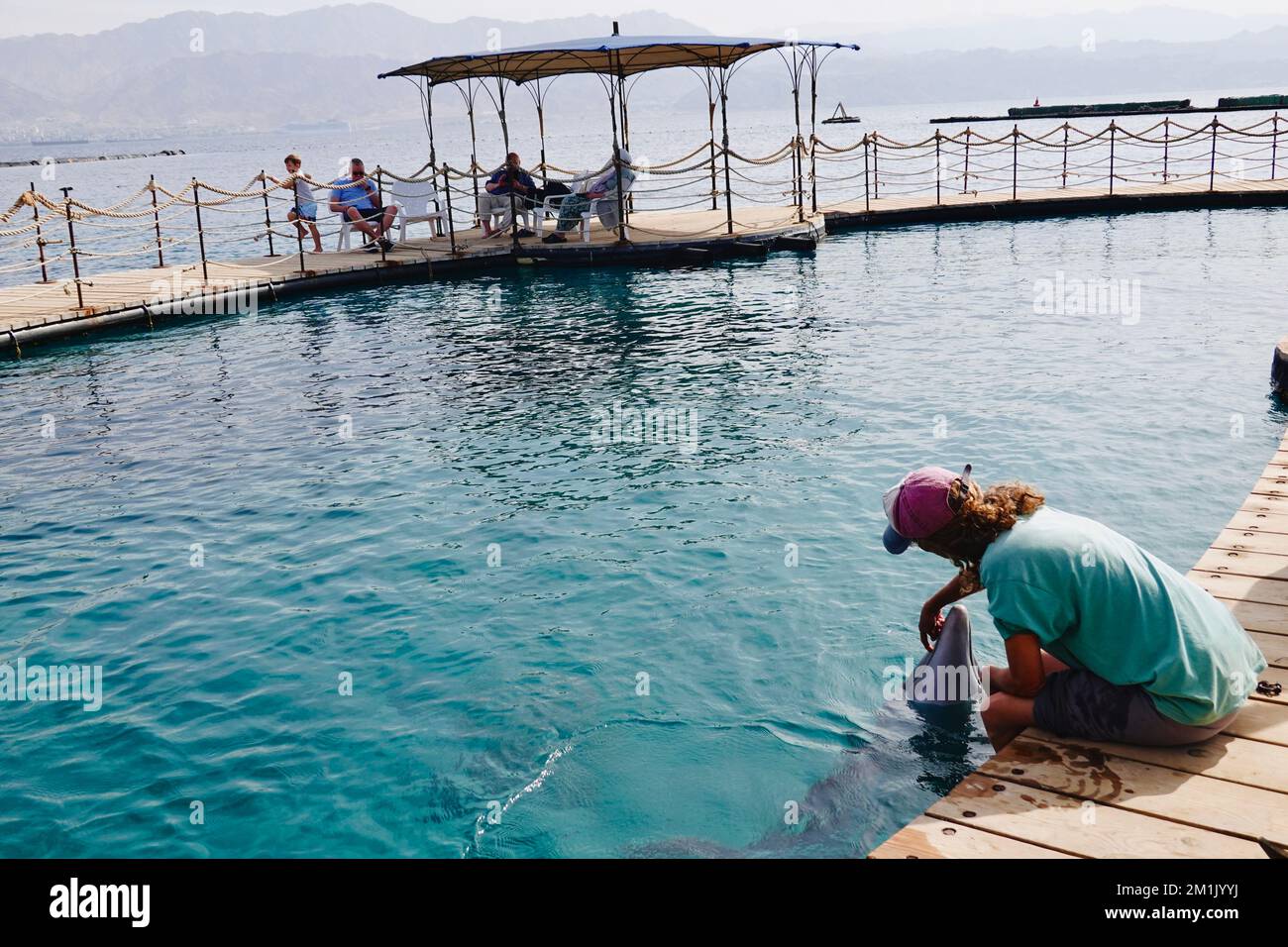 Gerusalemme. 21st Nov 2022. Un membro dello staff di Dolphin Reef interagisce con un delfino sulle rive del Mar Rosso nella città più meridionale di Eilat, il 21 novembre 2022. PER ANDARE CON 'caratteristica: Coesistenza dei delfini, esseri umani nell'Israele più meridionale' Credit: Wang Zhuolun/Xinhua/Alamy Live News Foto Stock