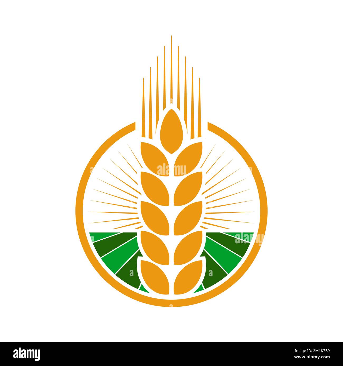 Cereale orecchio e punta icona di grano, segale o orzo piante di raccolto, vettore cereale cibo. Agricoltura o campo di fattoria con spikelet d'oro di grano, segale o orzo, grano dorato maturo e semi in cornice rotonda Illustrazione Vettoriale