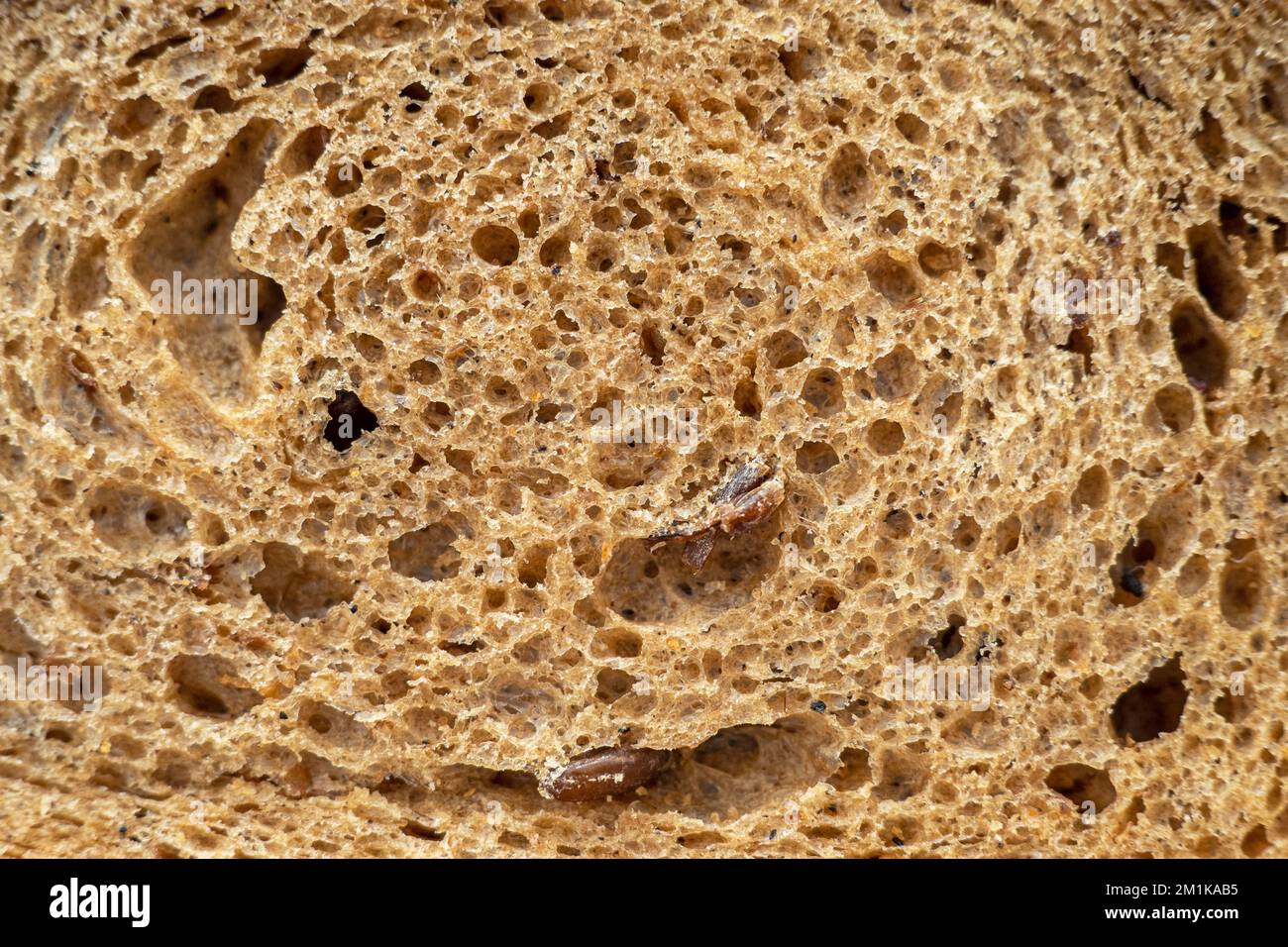 Primo piano della briciola di pane, macro dettaglio della superficie del pane come consistenza o sfondo Foto Stock