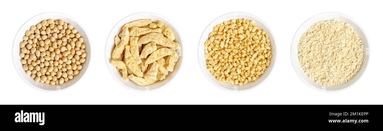 Fagioli di soia secchi e ricci di soia, granuli e farina, in ciotole bianche. Semi di legume e semi oleosi Glycine max, noto anche come semi di soia o semi di soia. Foto Stock
