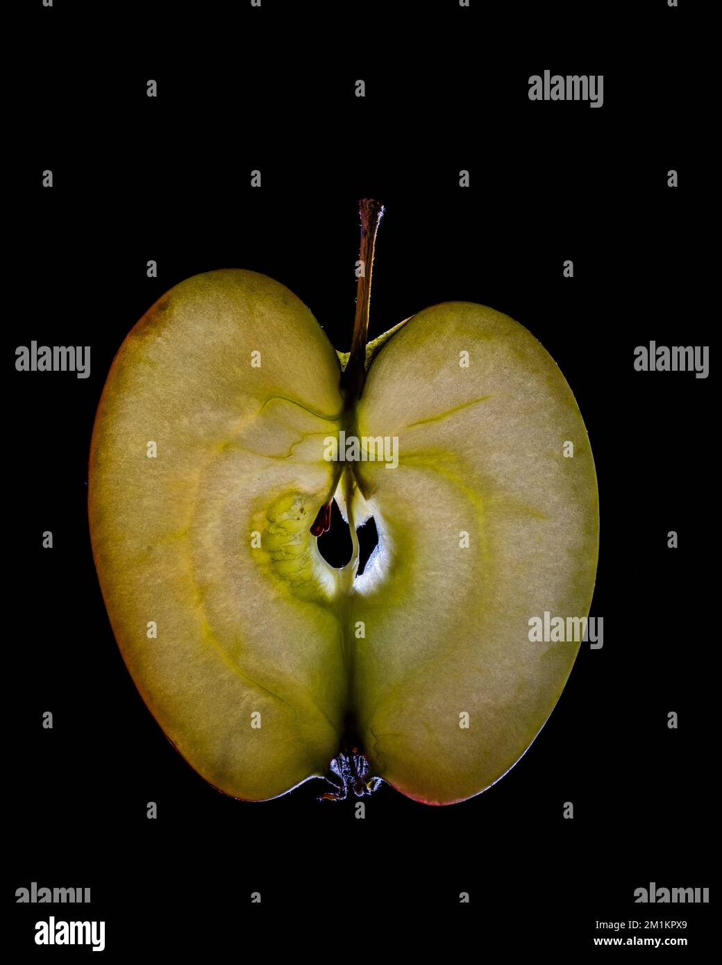 Una sottile fetta di frutta o verdura fotografata contro la retroilluminazione in un ambiente da studio. La texture traslucida e i dettagli vivaci Foto Stock