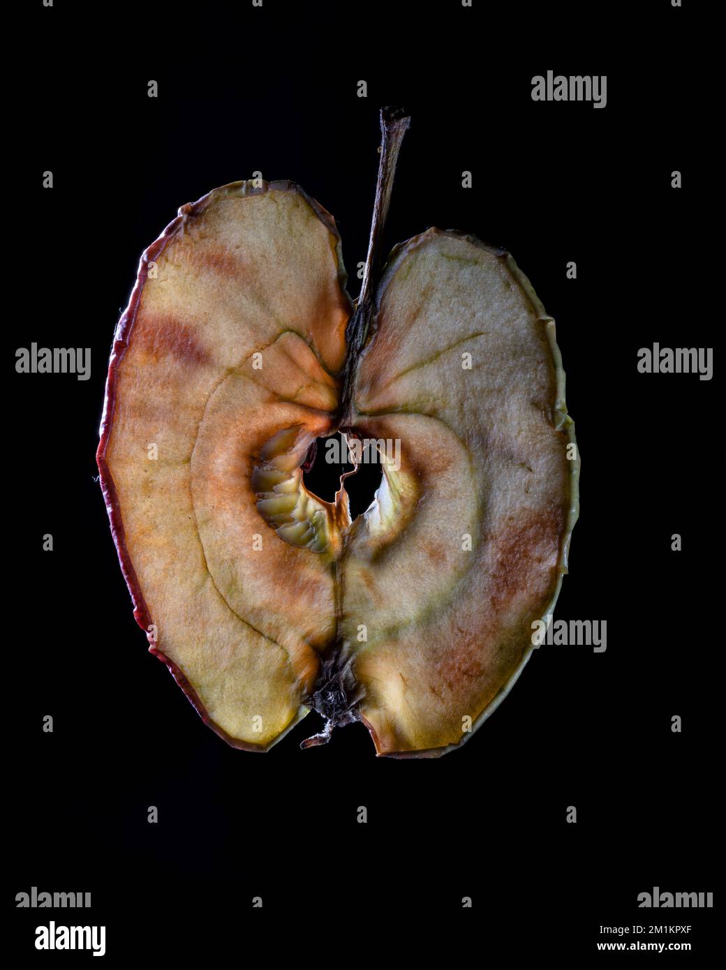 Una sottile fetta di frutta o verdura fotografata contro la retroilluminazione in un ambiente da studio. La texture traslucida e i dettagli vivaci Foto Stock