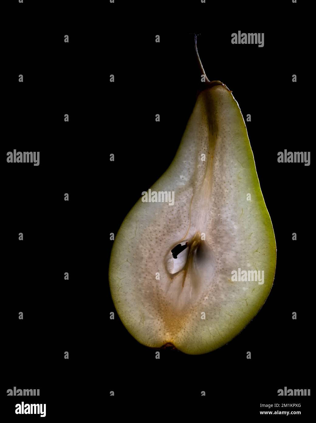 Una sottile fetta di frutta o verdura fotografata contro la retroilluminazione in un ambiente da studio. La texture traslucida e i dettagli vivaci Foto Stock