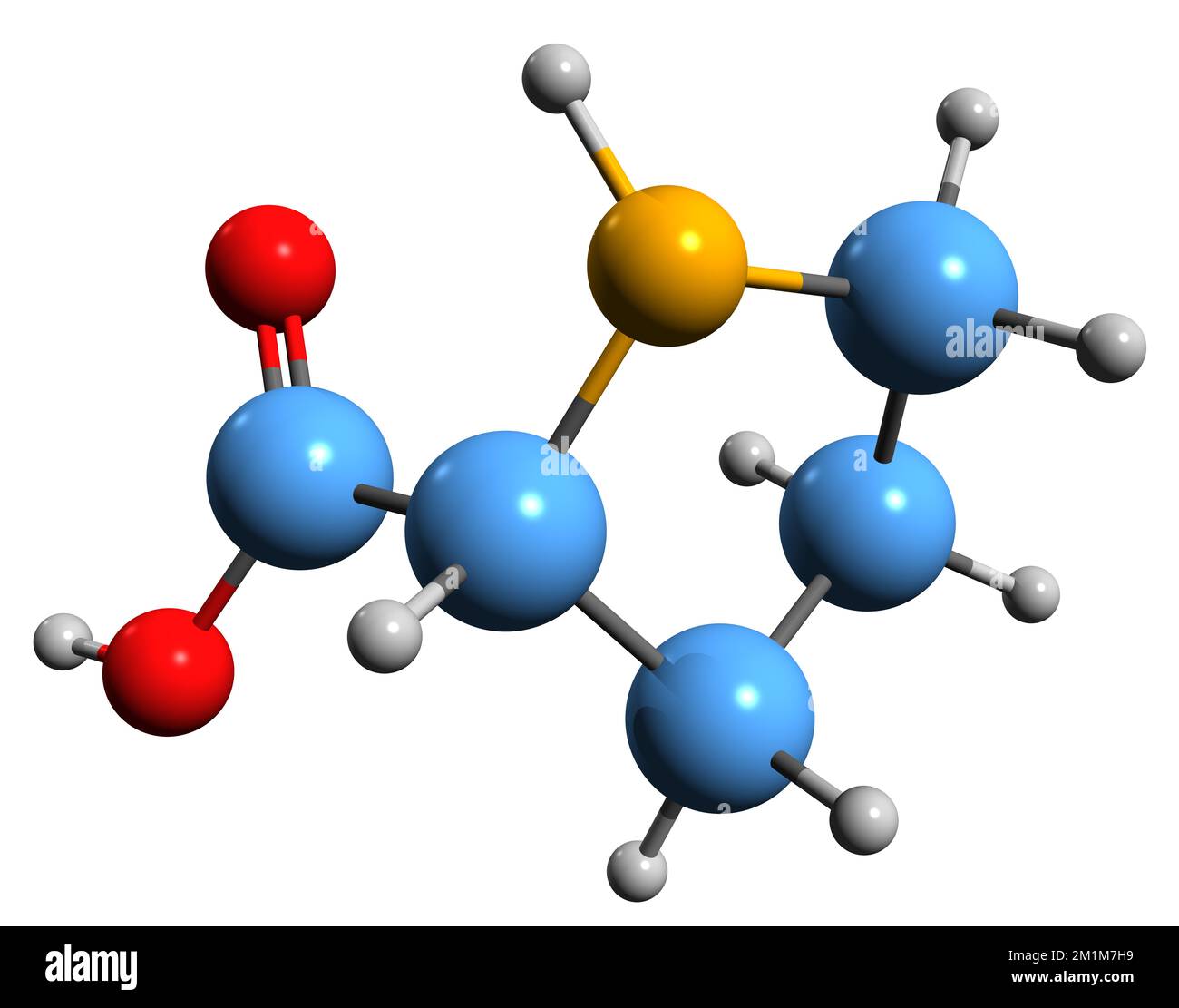 3D immagine della formula scheletrica Proline - struttura chimica molecolare dell'amminoacido proteinogeno isolato su sfondo bianco Foto Stock