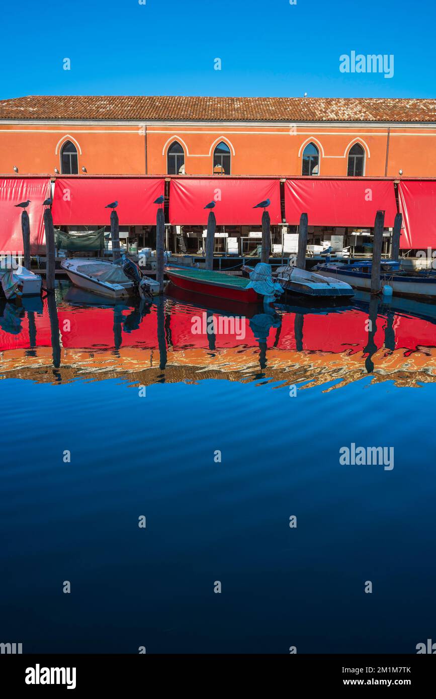 Colore canale Italia, vista in estate di un tratto di canale nel centro del colorato porto peschereccio di Chioggia, comune di Venezia, Veneto, Italia Foto Stock